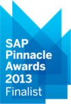 SAP Pinnacle Award 2013