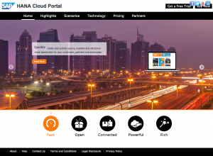 Example of a HANA Cloud Portal page