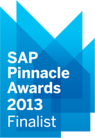 SAP Pinnacle Award 2013