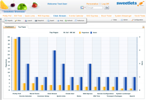 Get detailed information on your most important portal pages, those with the least pageviews, unused pages and even external content